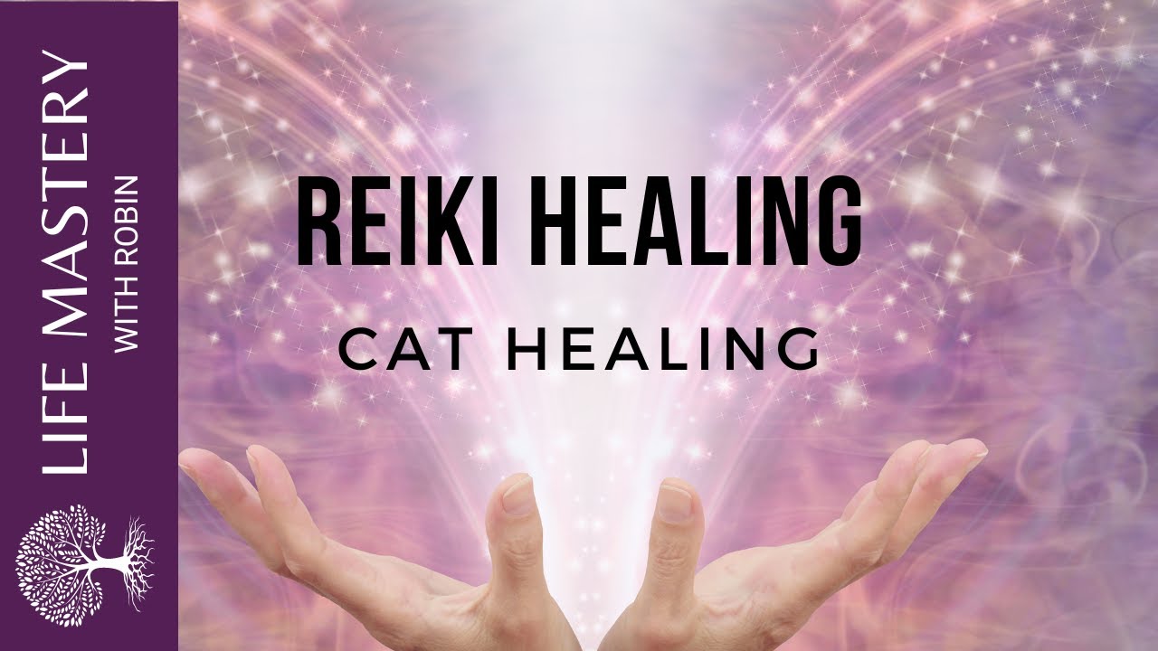 Reiki Healing | Healing Cats with Sound Music