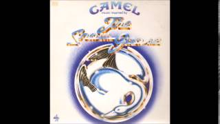 Camel - Sanctuary