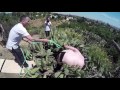 CRAZY MAN SKATEBOARDS INTO CACTUS