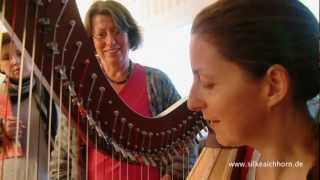 Silke Aichhorn: Harfenunterricht