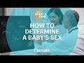 How To Determine A Baby S Sex How To Start A Family Parents