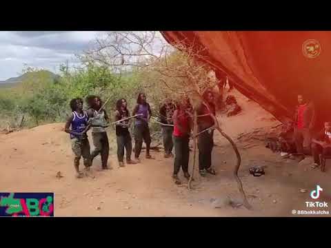 wbo zonii kibbaa❤️❤️💚💚❤️❤️