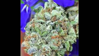 Tinie Tempah - Racks on Racks (remix)