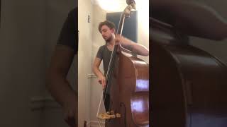 Beatrice - Larry Grenadier Bass Solo Transcription