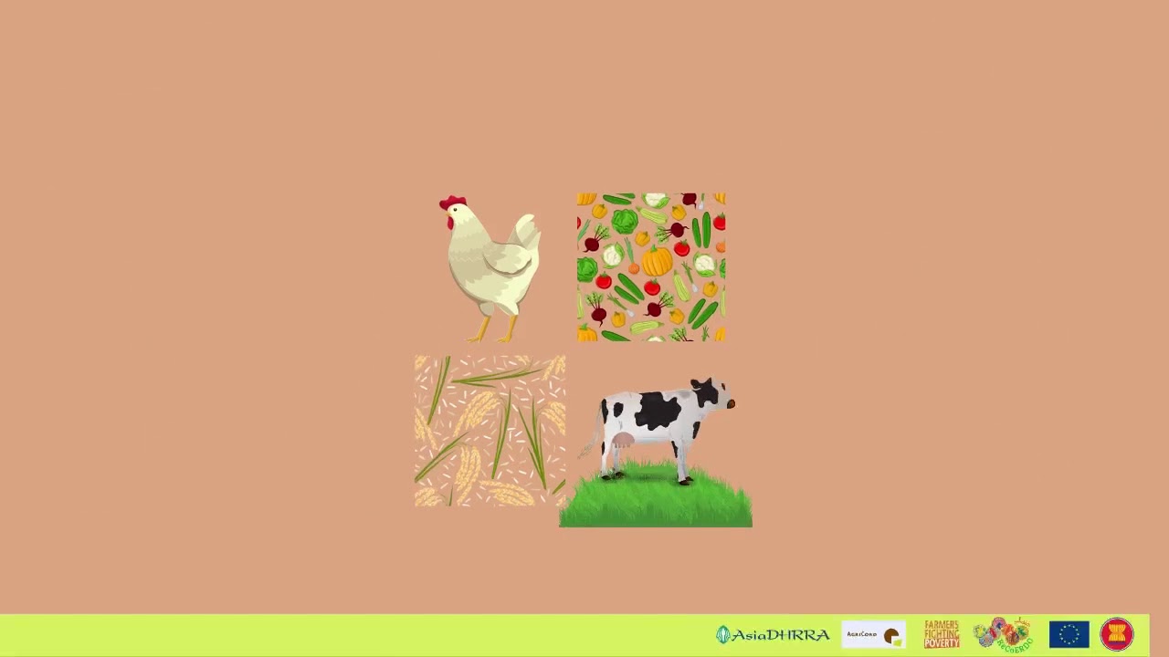 FFP/AsiaDHRRA-FNN: Empowerment women through farming