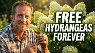 Grow Unlimited Hydrangeas From One Plant | Garden Hack Exposed