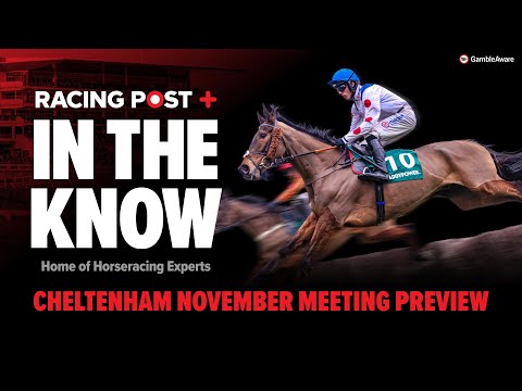 Cheltenham November Meeting Preview | Tips from Paul Kealy & Tom Segal | In The Know