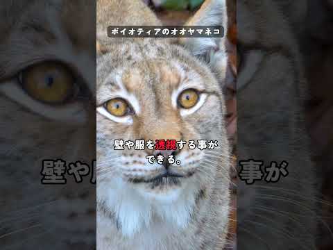 IUCN分類における絶滅の危険性を示す図。