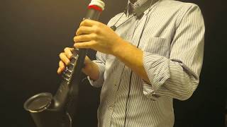 Video thumbnail for CASIO Digital Horn DH-500 Duo / Six Oyatsu Duets by mkirino01