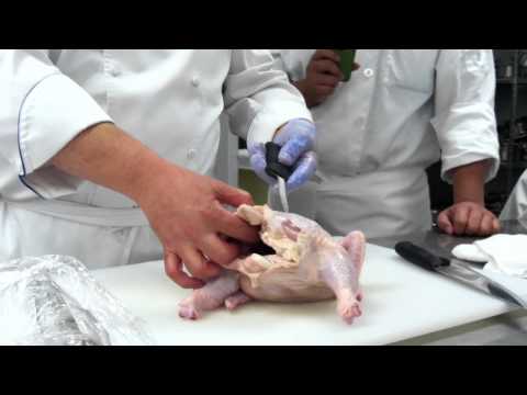 Sectioning a chicken into 8 pieces