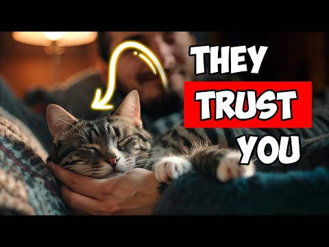 If Your Cat Does These 7 Things, They TRUST You