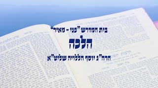 הלכה בשר וחלב I הרה"ג יוסף הללויה שליט"א I שיעור 2