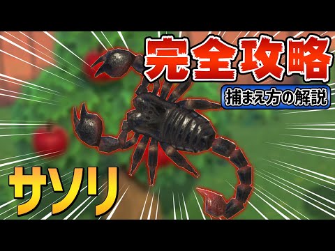 サソリを追い払うにはどうすればいいですか? - すべてのサソリは人間にとって危険ですか?