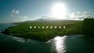 Life Beyond Walls: Galapagos Preview
