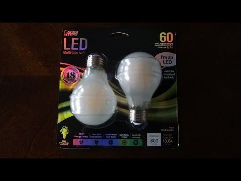 Review of Frosted LED Bulb