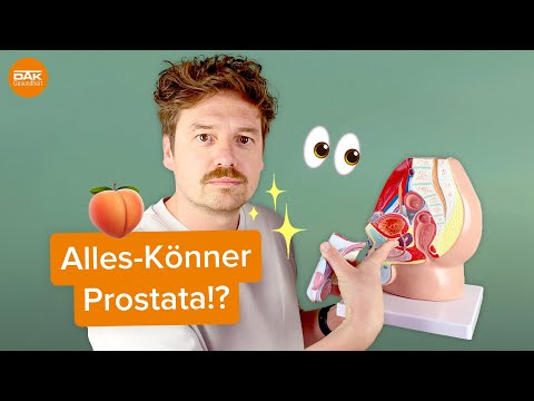 DAS kann deine Prostata! | #doktorsex | DAK-Gesundheit