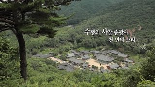 수행의 사찰 송광사, 천년의 소리