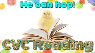 Learn to Read CVC Words for Preschool & Kindergarten | Easy Phonics Sentences