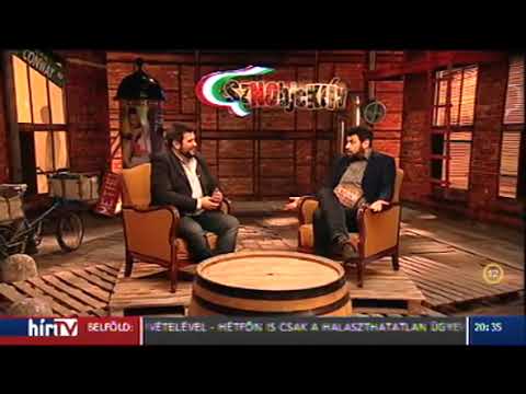 A tíz leghitványabb magyar tévésorozat - Szimat Szörény, a szupereb