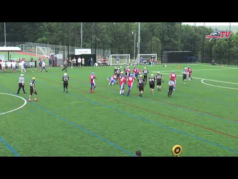 2019 - Sussex Thunder vs Solent Thrashers - Highlights