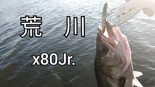 荒川　シーバス調査2021.9.24　x80Jr.でスレたシーバスを釣る