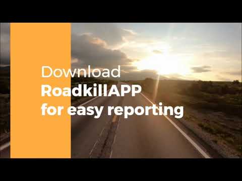 RoadkillApp