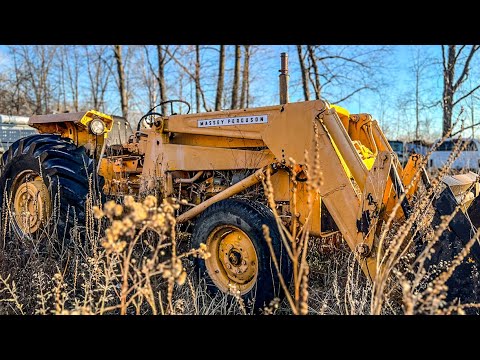 Will it START? | Massey Ferguson Diesel Tractor left for SCRAP