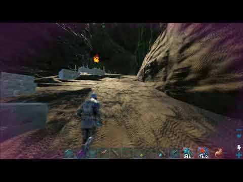 Arkwarfare Double ended bear cave raid