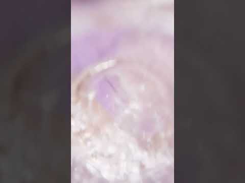 28 de noviembre de 2025