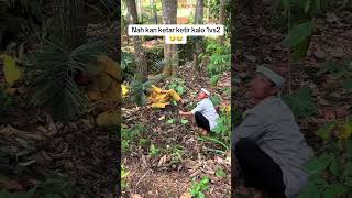 Download lagu Di ontrog baru tau rasa🤣 #ngakak #guyonsetra mp3 Download lagu Di ontrog baru tau rasa🤣 #ngakak #guyonsetra mp3