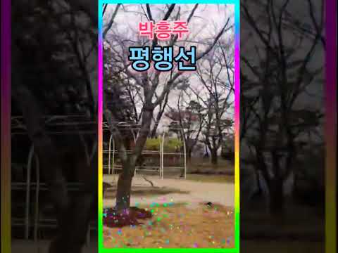 박흥주 - 평행선 #미스트롯4#트로트#가요 ##트로트가수 #트롯 #박흥주#노래#중년가요#감성 트롯