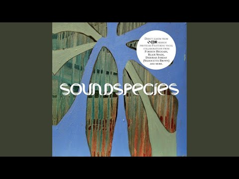 relax (feat. deborah jordan)