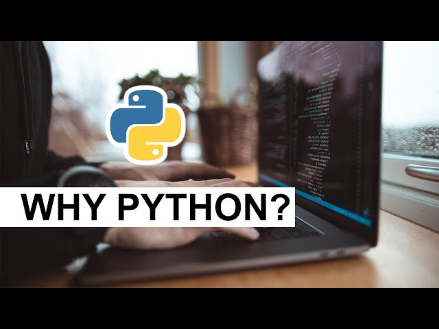 Why Python Remains Popular Despite Its Slowness | Galaxy.ai | Galaxy.ai