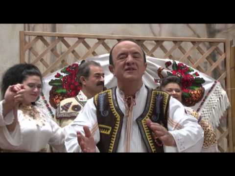 Stefan Vlad - Hora dobrogeana