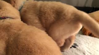 Another video :)