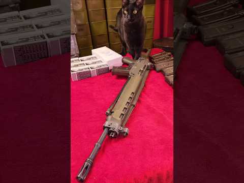 SIG 550-1 SP Pre '89