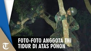 Viral di Facebook Foto-foto Anggota TNI Tidur di Atas Pohon, Bertumpu pada Tali yang Lilit Badannya