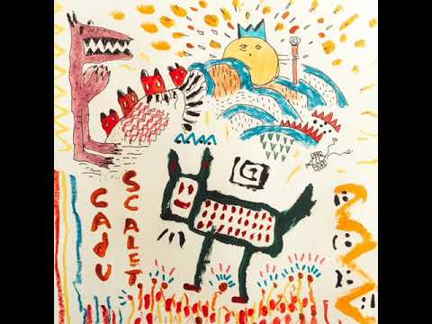 Cabeça Paranoia - Cadu Scalet