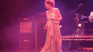 Altered Images-Insects.