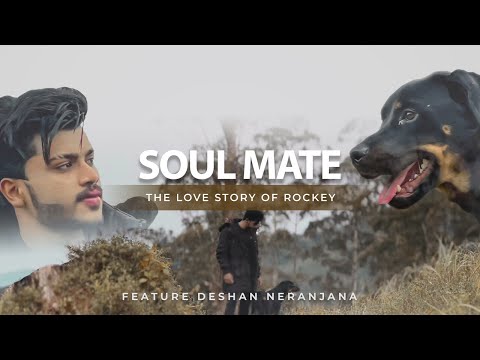Soul Mate - The Love Story Of a Man and his Puppy Rockey