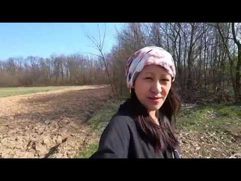 SERBIAN FOREST EXPLORING AND WE GOT LOST ( ŠUMA BARAJEVO ) Video