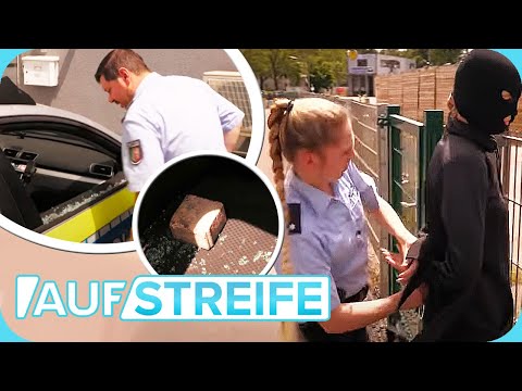 Paul Richter: "Wie doof muss man sein?" STRAFTAT vor den Augen der Polizisten! | Auf Streife | SAT.1