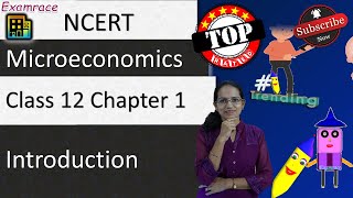 NCERT Class 12 Microeconomics Chapter 1: Microeconomics Introduction (Examrace) | CUET Economics