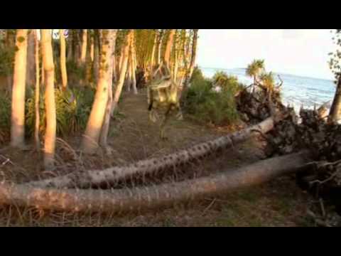 Geheimnisse des Universums   S02E13   Kosmische Kollisionen