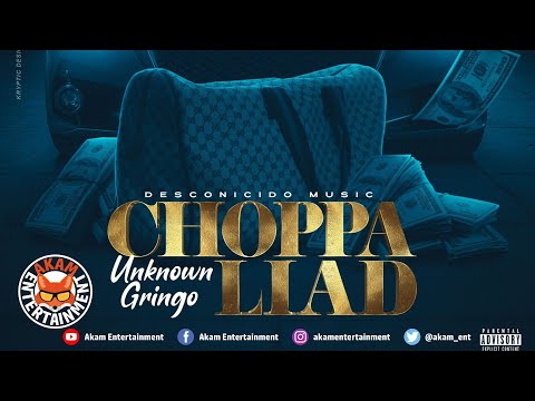 Unknown Gringo - Choppa Liad [Audio Visualizer]