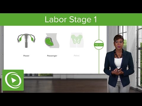 Labor Stage 1: Normal and Abnormal Labor – Obstetrics | Lecturio