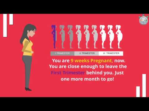 Baby’s Development at 9th Week of Pregnancy – Part 1