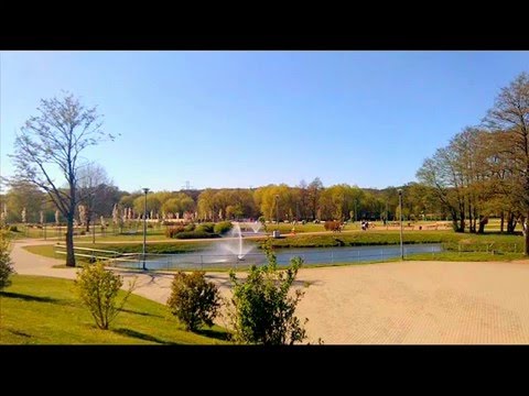 Bart x Franek x Panda MOJE CREW