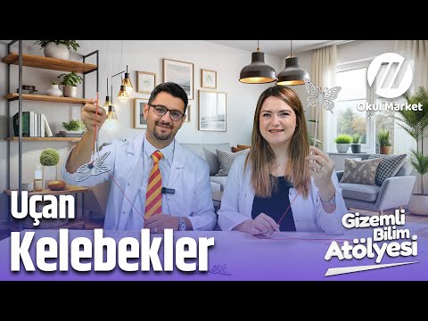 Uçan Kelebekler