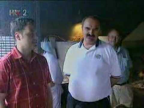 Najizjave Stjepana Spajica